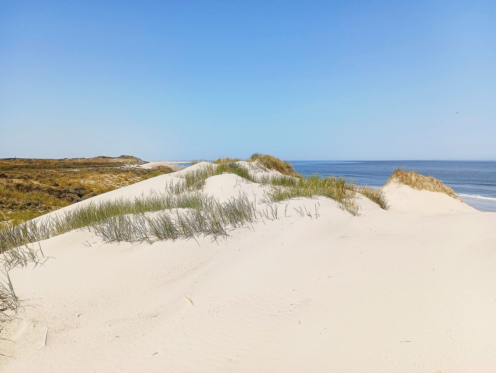 Weiße Dünen mit Strandhafer und Blick auf die Nordsee — Borkum