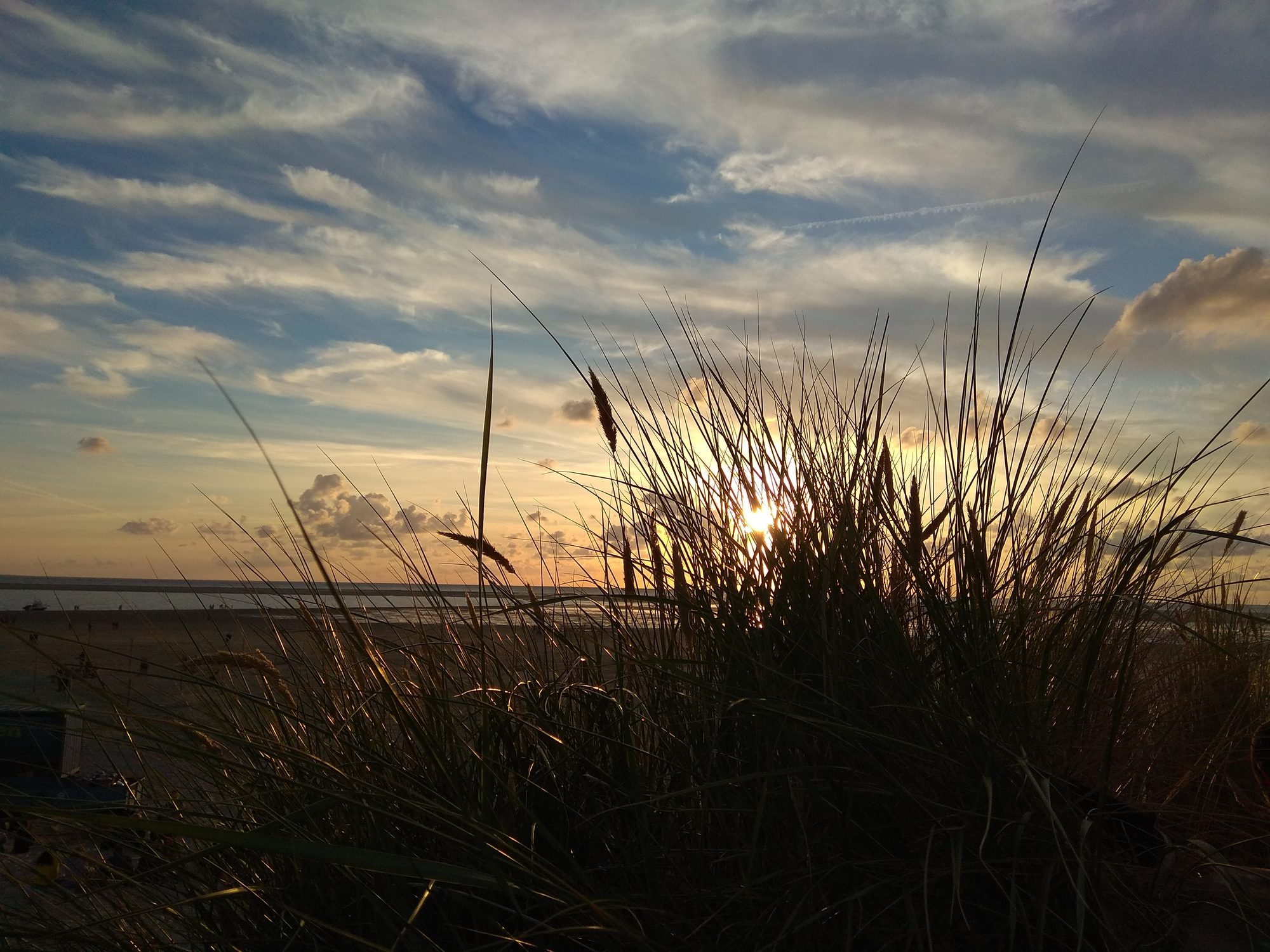 Sonnenuntergang über der Nordsee — Dünengras im Abendlicht auf Borkum
